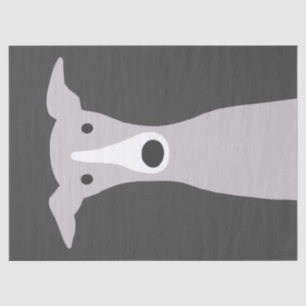 Papel De Seda Grisú, grisón italiano o perro blanco