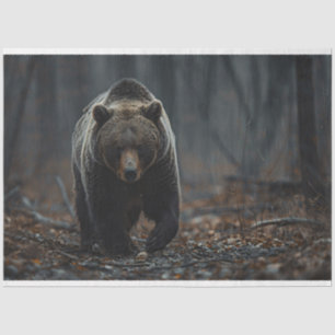 Papel De Seda Grizzly Bear en la página de Andamio