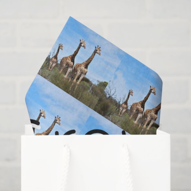 Papel De Seda Growing Tall Safari Harmony (Bolsa de regalo)