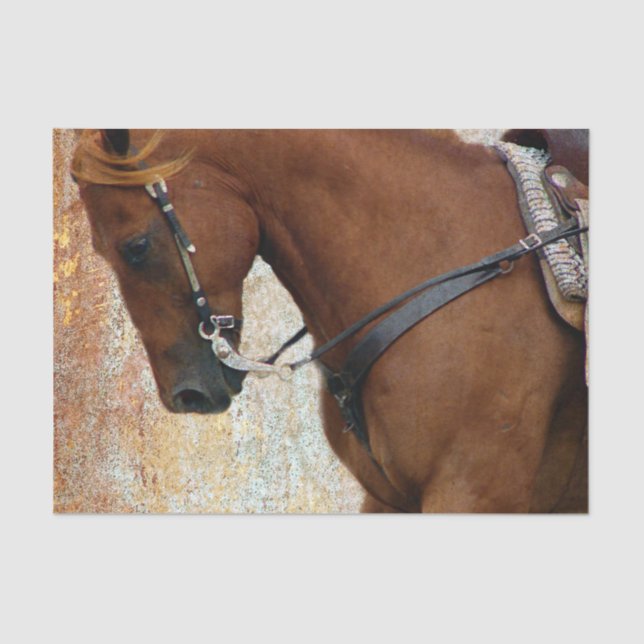 Papel De Seda Grunge occidental del caballo del alazán (Anverso)