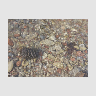 Papel De Seda Guijarros en la fotografía de naturaleza de Taylor