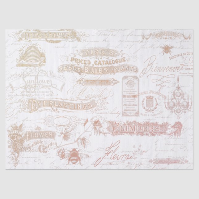 Papel De Seda Guión de cosecha francés Ephemera Typography Pink (Anverso)