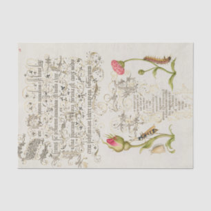 Papel De Seda Guión de Wainscot con Flores e Insectos