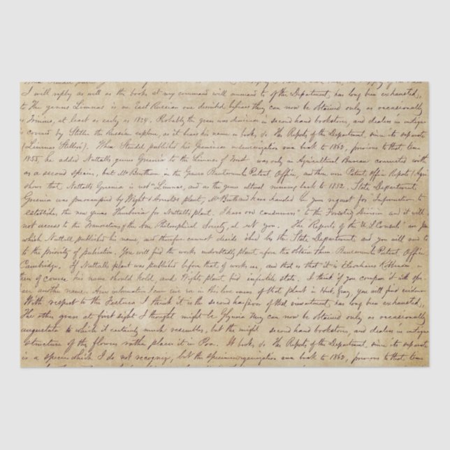 Papel De Seda Guión elegante de letra manuscrita de época (Anverso)