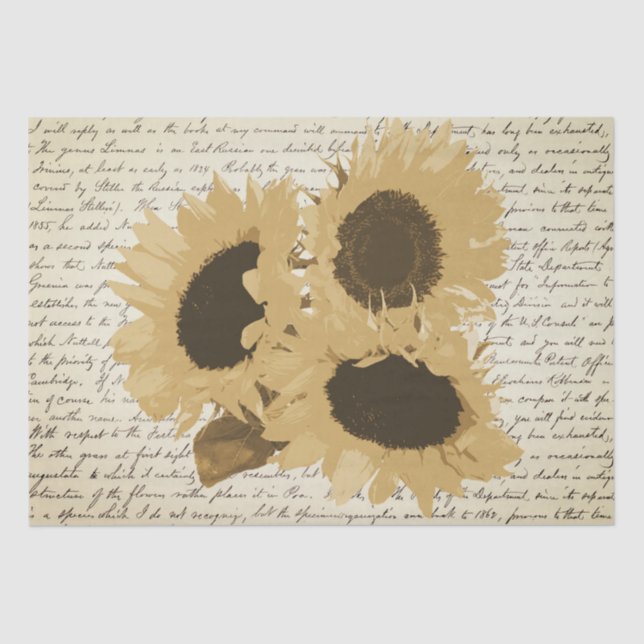 Papel De Seda Guión floral de los girasoles beige de la vendimia (Anverso)