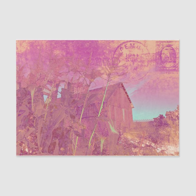 Papel De Seda Guión Rústico del Barn Rosado de Ephemera (Anverso)