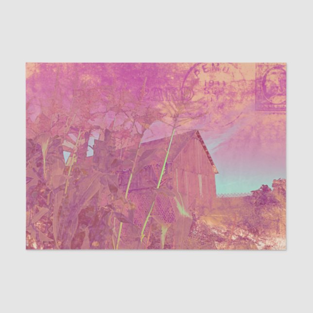 Papel De Seda Guión Rústico del Barn Rosado de Ephemera (Anverso)