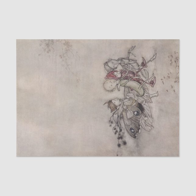 Papel De Seda “Hadas de Verano” de Arthur Rackham (Anverso)