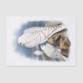 Papel De Seda Halcón de Groenlandia, desenlace