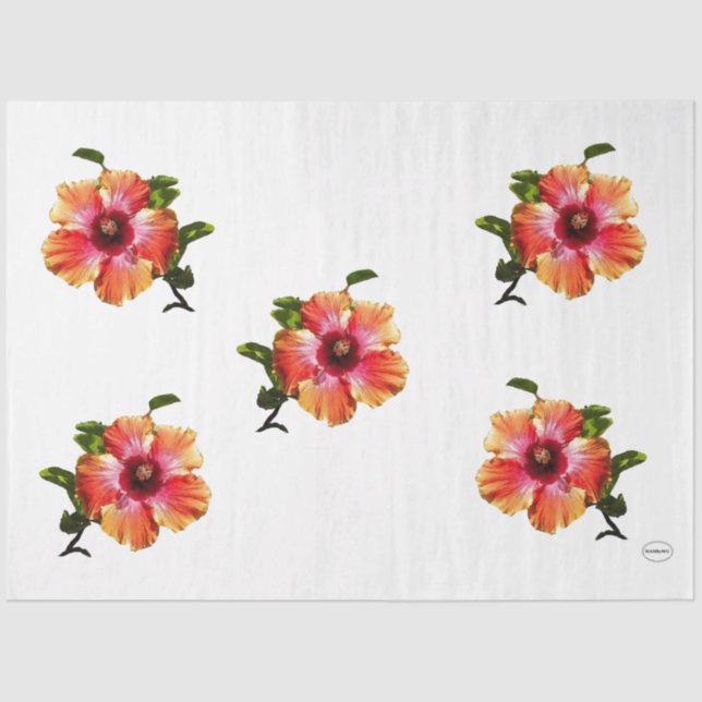Papel De Seda HAMbyWG Hibiscus Flower - (Anverso)