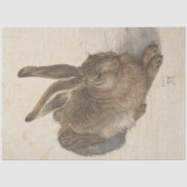 Papel De Seda Hare (de Albrecht Dürer)