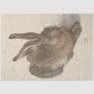 Papel De Seda Hare (de Albrecht Dürer)