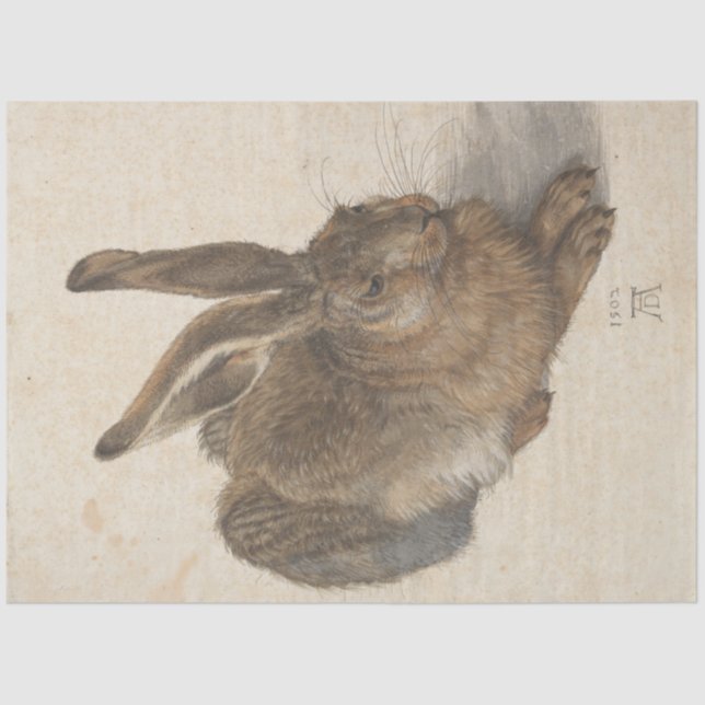 Papel De Seda Hare (de Albrecht Dürer) (Anverso)