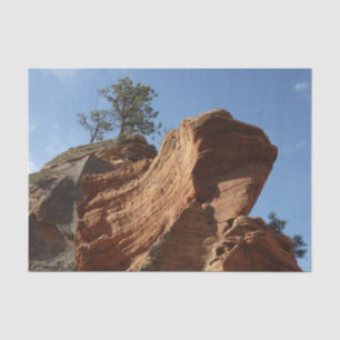 Papel De Seda Hasta Angels Landing en Zion National Park