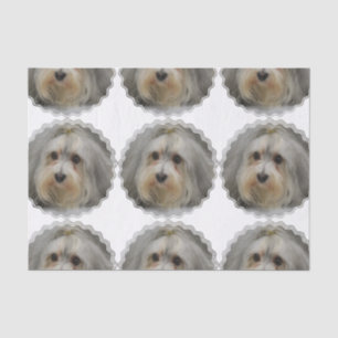 Papel De Seda Havanese