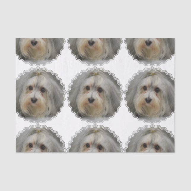 Papel De Seda Havanese (Anverso)