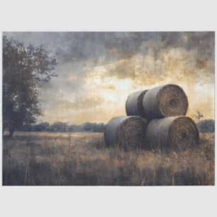 Papel De Seda Hay Bales en el desenlace de la cosecha de campo