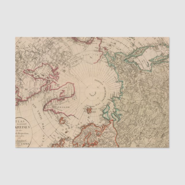 Papel De Seda Hemisferio norte, ártico (Anverso)