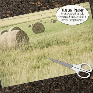 Papel De Seda Heno del verano tardío enrollado en un campo agríc