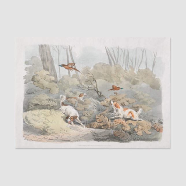 Papel De Seda Henry Alken | Dogs Chasing Pheasants (Anverso)