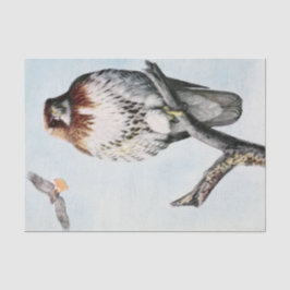 Papel De Seda Hepillo de cola roja vintage