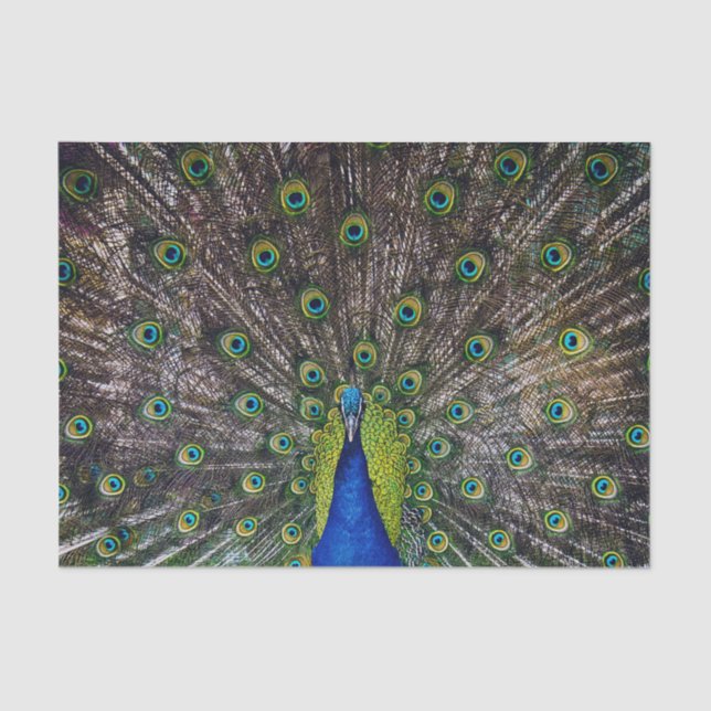 Papel De Seda Hermosa ave pavo real (Anverso)
