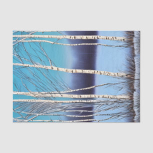 Papel De Seda Hermosa Birch de Invierno