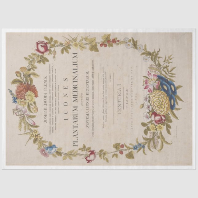 Papel De Seda Hermosa corona botánica con guión (Anverso)