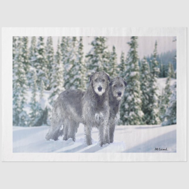 Papel De Seda Hermosa escena nevada irlandesa Wolfhound (Anverso)