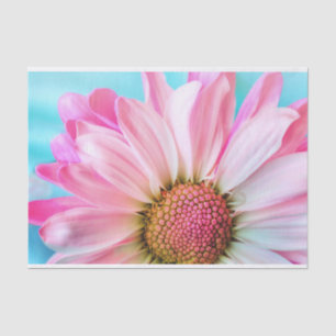 Papel De Seda Hermosa flor rosa cercana foto
