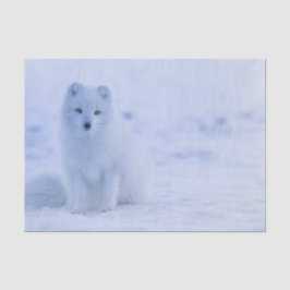 Papel De Seda Hermosa Fox Ártica