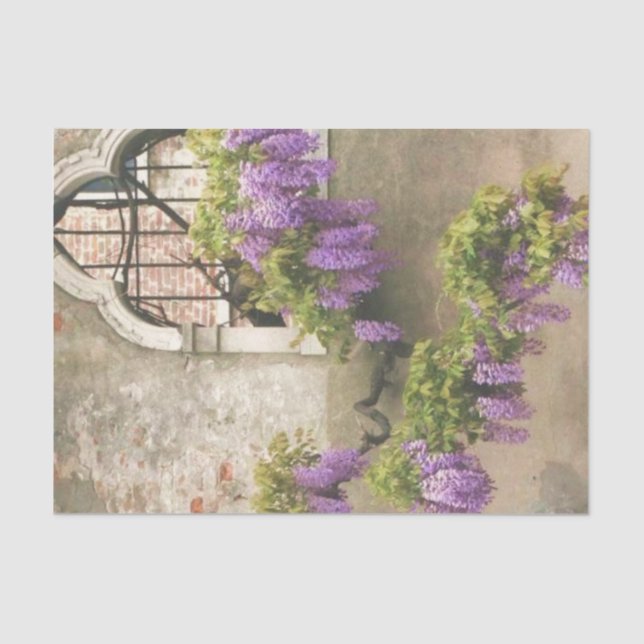 Papel De Seda Hermosa glicinia cediendo la ventana gótica (Anverso)