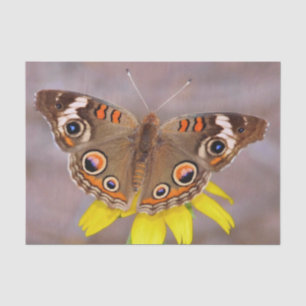 Papel De Seda Hermosa mariposa sobre la flor amarilla