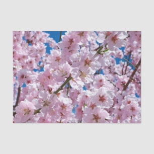 Papel De Seda Hermosas flores de cerezo de primavera
