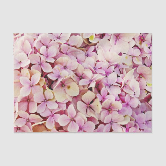 Papel De Seda Hermosas flores de Hydrangea (Anverso)