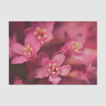 Hermosas flores rosas