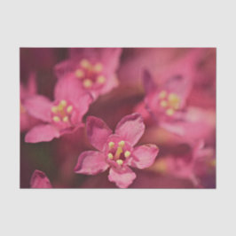 Papel De Seda Hermosas flores rosas