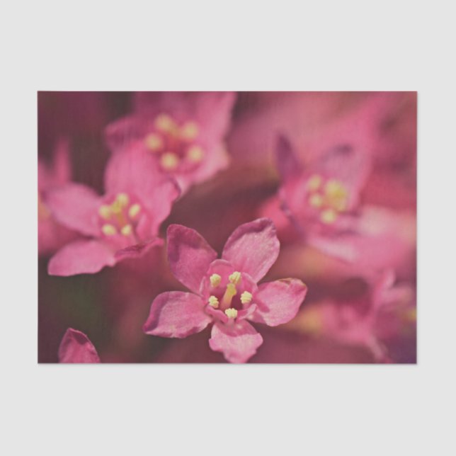 Papel De Seda Hermosas flores rosas (Anverso)