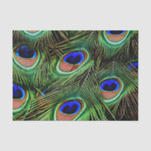 Papel De Seda Hermosas plumas de pavo real