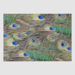 Papel De Seda Hermosas plumas de pavo real