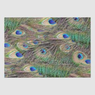 Papel De Seda Hermosas plumas de pavo real