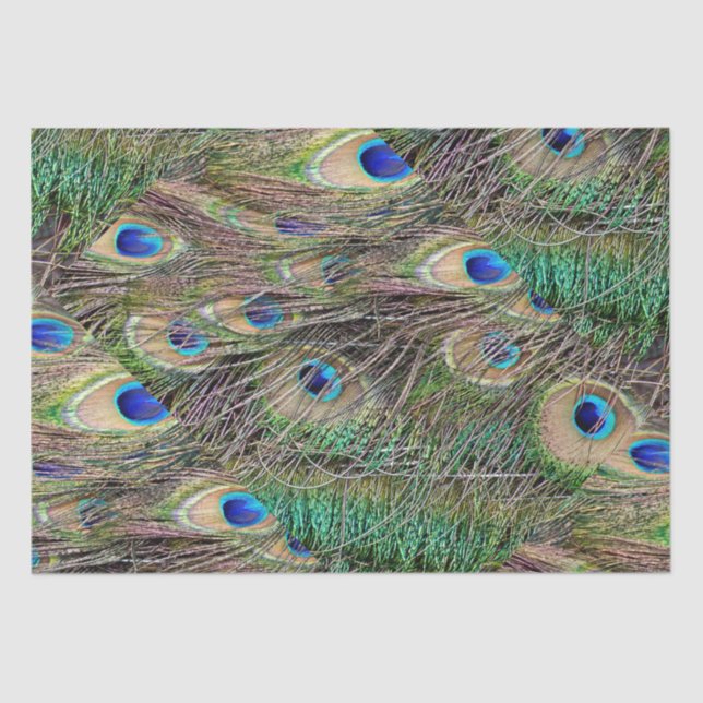 Papel De Seda Hermosas plumas de pavo real (Anverso)