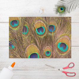 Papel De Seda Hermosas plumas de pavo real marrón