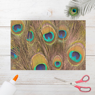 Papel De Seda Hermosas plumas de pavo real marrón