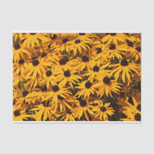 Papel De Seda Hermosas Rudbeckias, flores amarillas