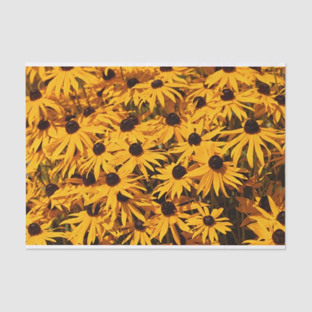 Papel De Seda Hermosas Rudbeckias, flores amarillas (Anverso)