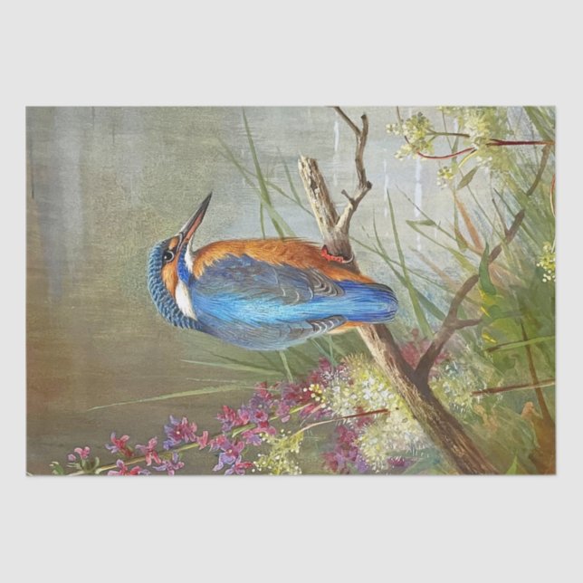 Papel De Seda Hermoso Blue Bird Kingfisher Watercolor Pintado (Anverso)