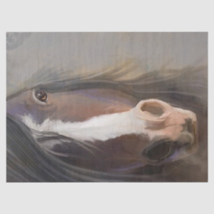 Papel De Seda Hermoso caballo