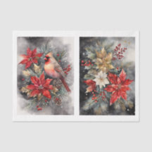 Hermoso Cardenal 1 Desnudo