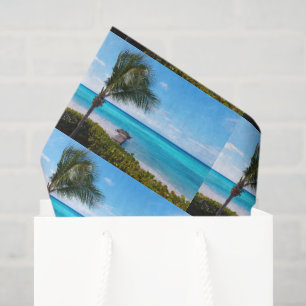 Papel De Seda Hermoso patrón de palmera tropical ventosa en la p